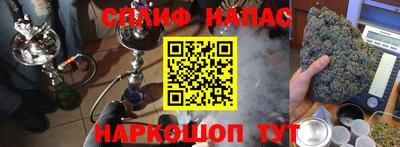 шишки Кинель