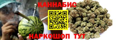 шишки Кинель