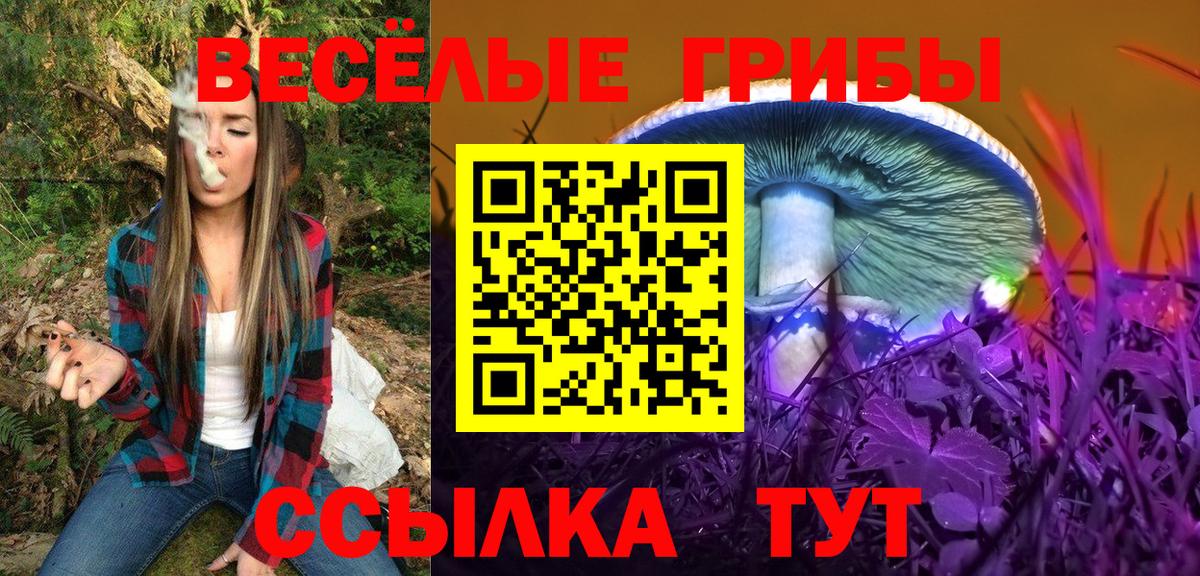 Псилоцибиновые грибы ЛСД  Вход с VPN  Кольчугино 