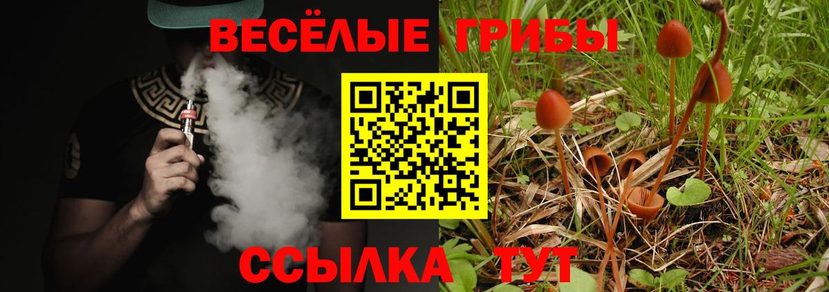Галлюциногенные грибы мицелий Кольчугино